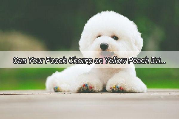 Can Your Pooch Chomp on Yellow Peach Dried Treats Uncover the Yummy Truth